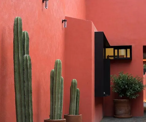 Hotel Tonalli Casa Boutique