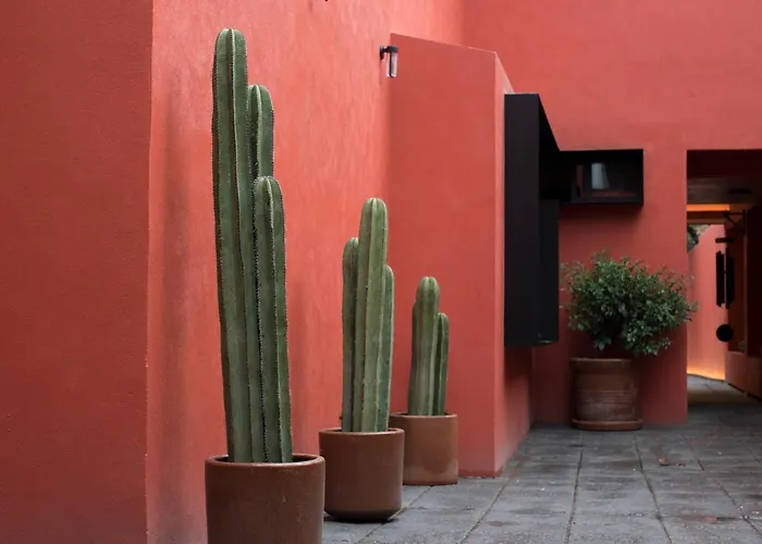 Hotel Tonalli Casa Boutique Mexico City